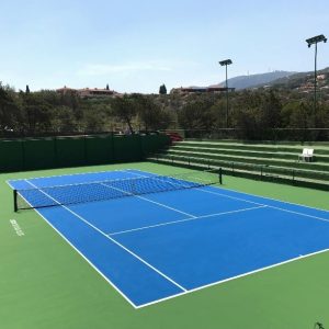 SURFACE EVOLUTION TENIS