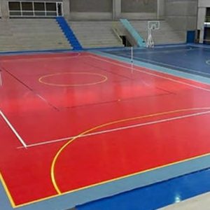 SURFACE EVOLUTION VOLEY